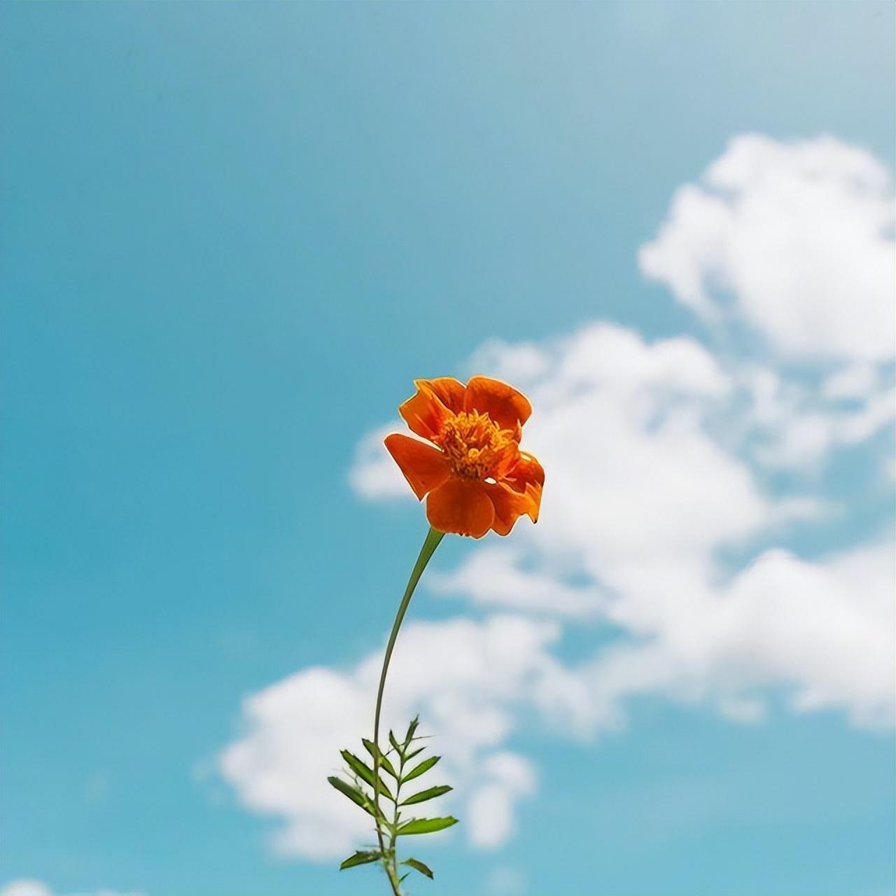 在空间上留言最暖心的话