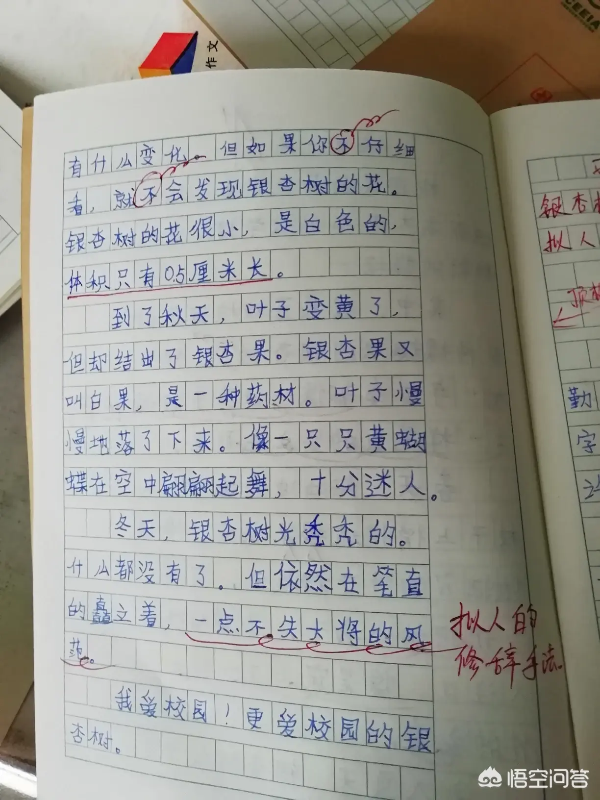 校园的一角作文400字（记一次《校园一角》作文辅导课）