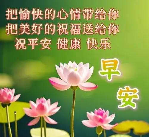 最新早上好文案大全，暖心早晨问候语，愿你快乐每一天